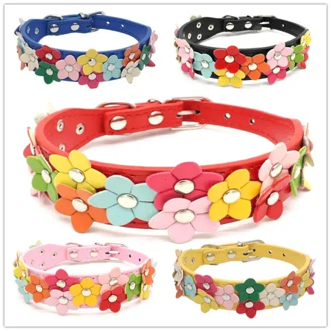 Haustierhalsband mit Leine