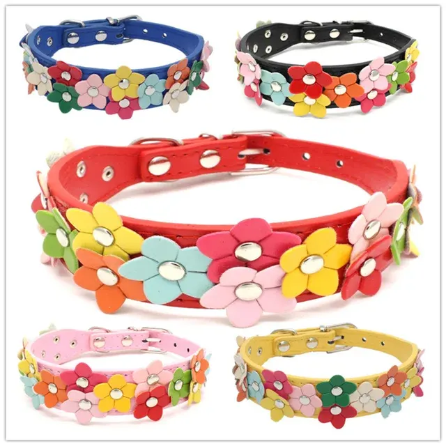 Haustierhalsband mit Leine 1