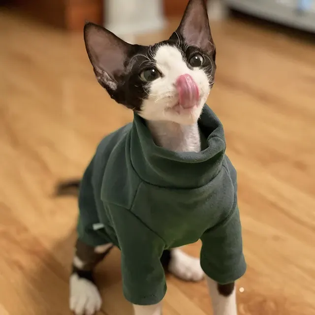 Katzenkleidung 4