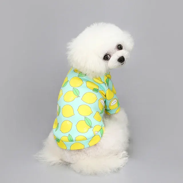 Hunde-T-Shirt 4