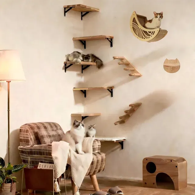Katzen-Kletterwand 3