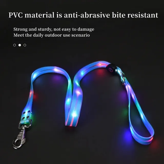 LED-Hundehalsband 3