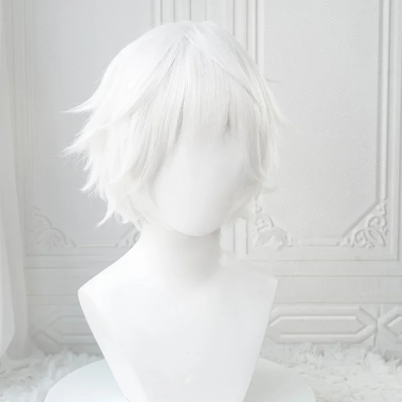 Anime-Cosplay-Perücke 2