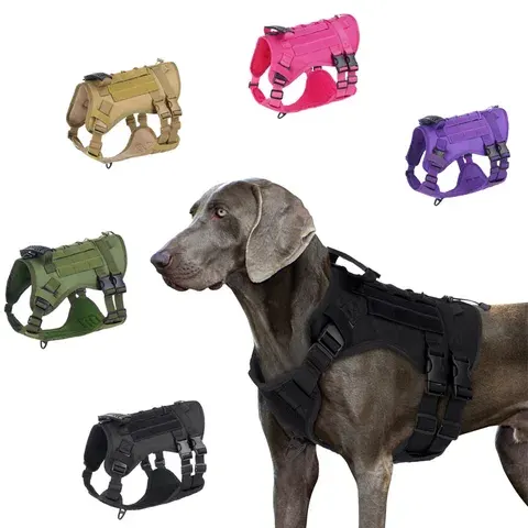 Taktisches Hundegeschirr