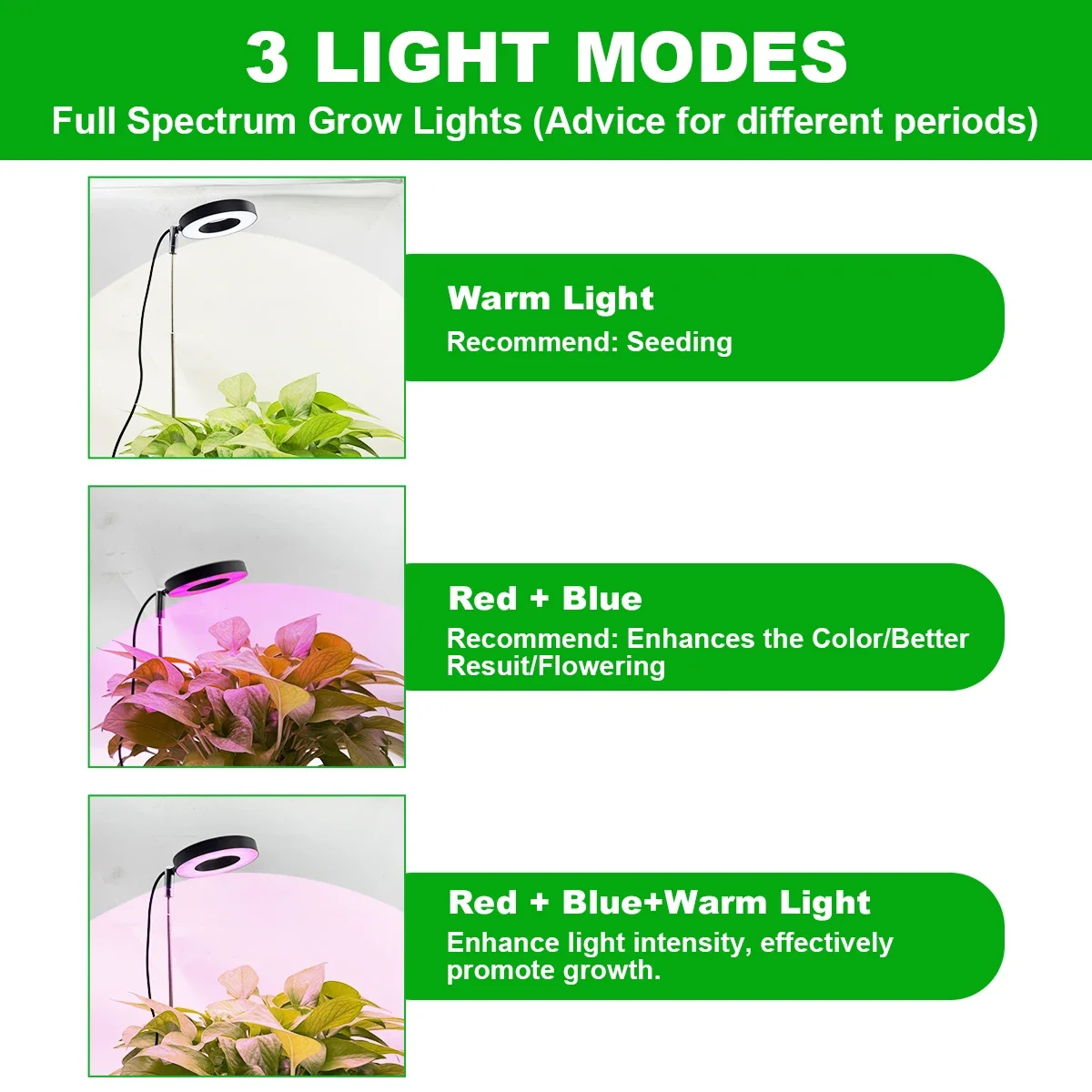 LED-Pflanzenlampe 3