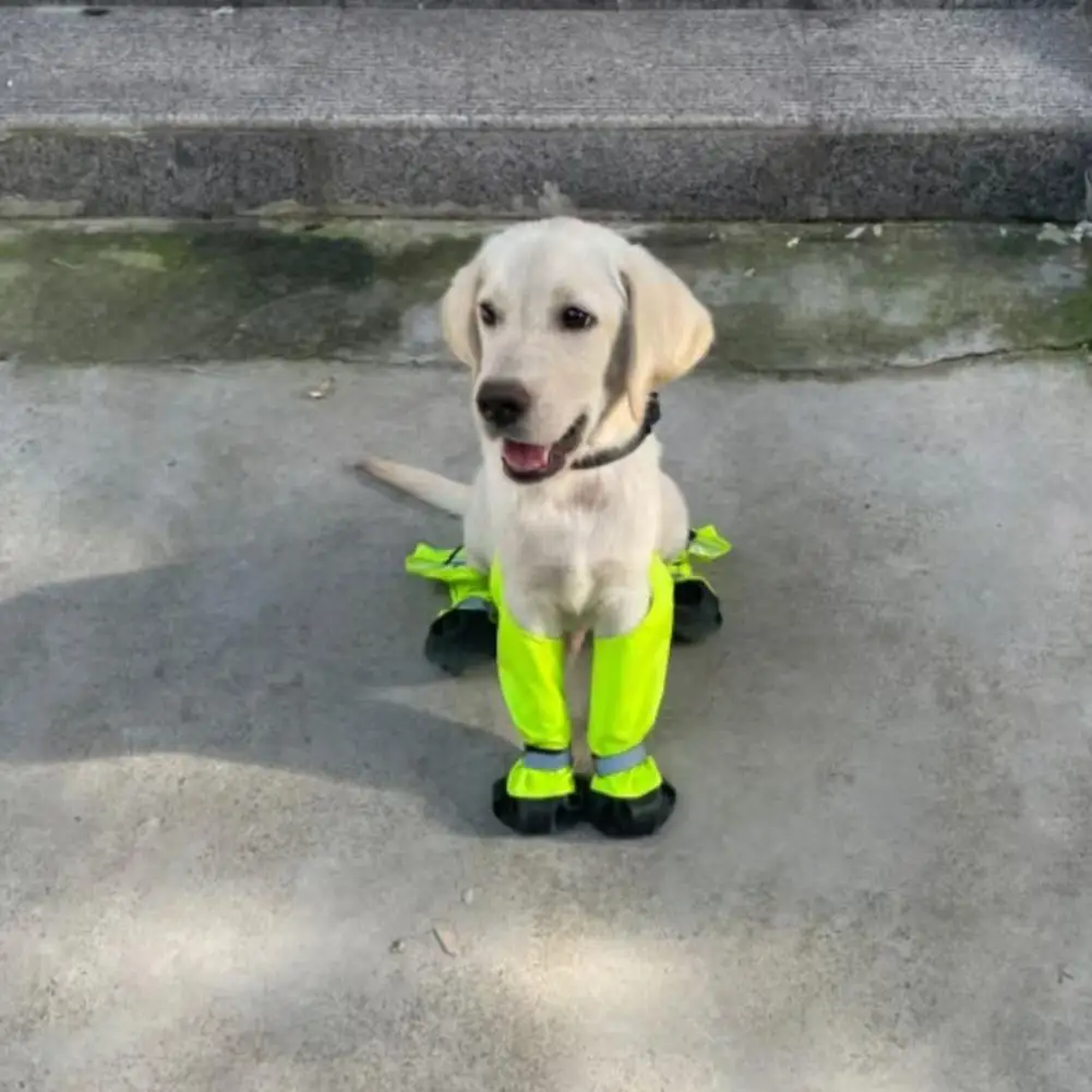 Hunde-Schneeschuhe 3
