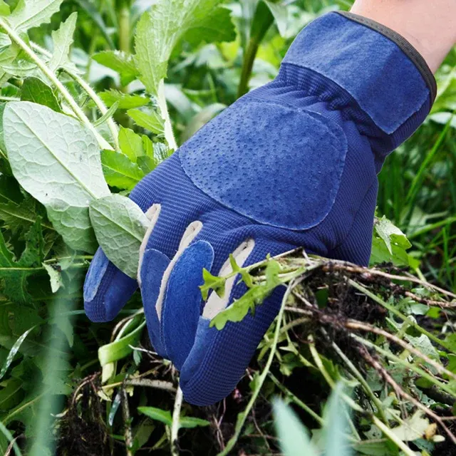 Gartenhandschuhe 2