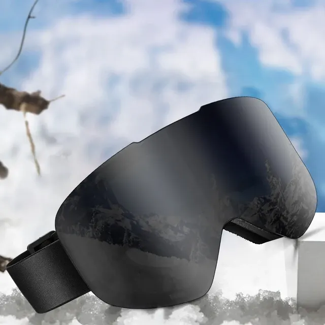 Magnet-Skibrille 3