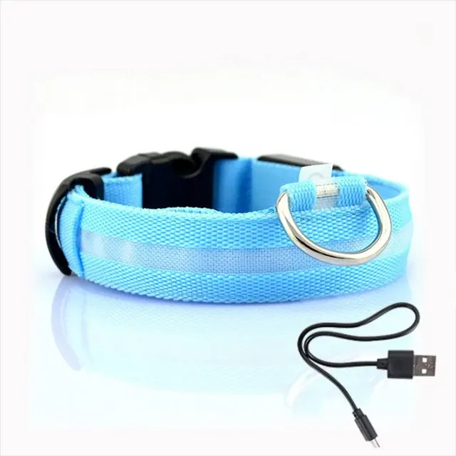 LED-Hundehalsband 4