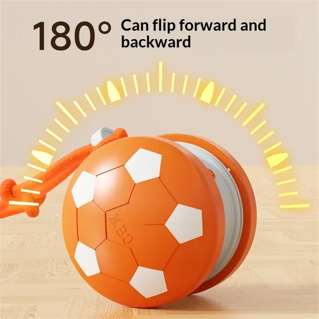Interaktiver Haustierball 4