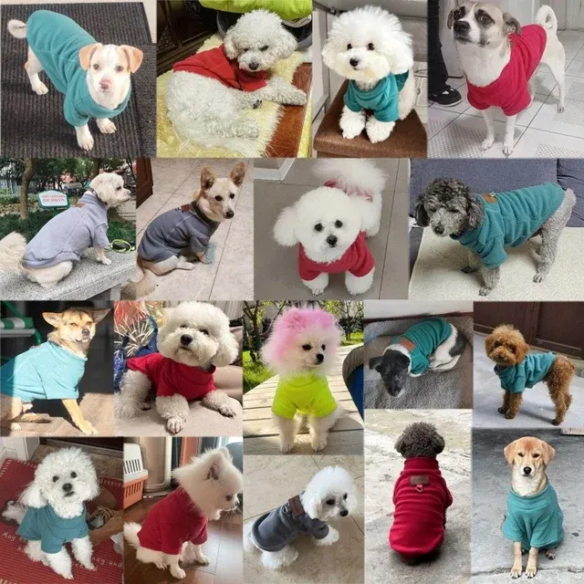 Hundehoodie 2