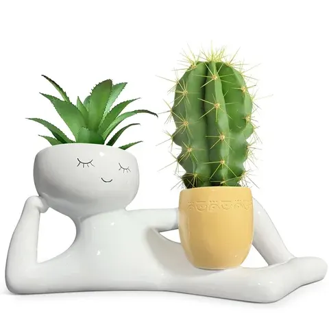 Deko-Sukkulententopf