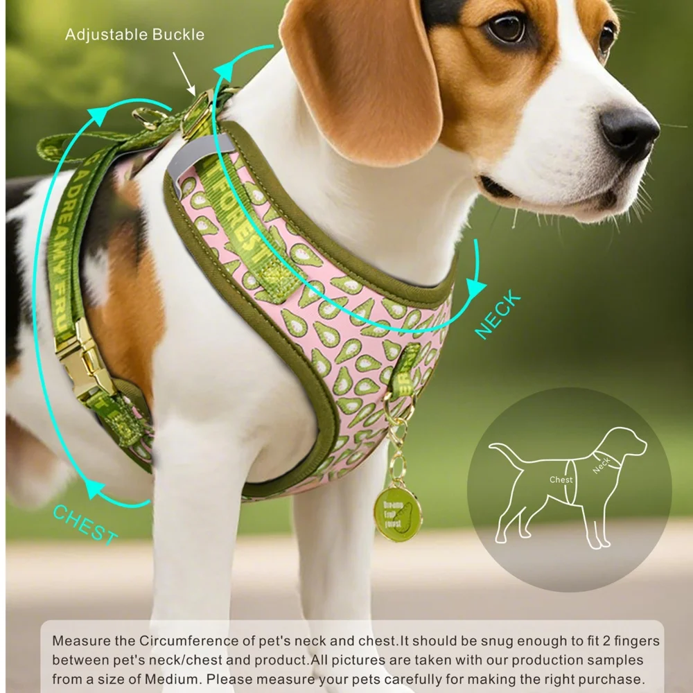 Hundegeschirr 4