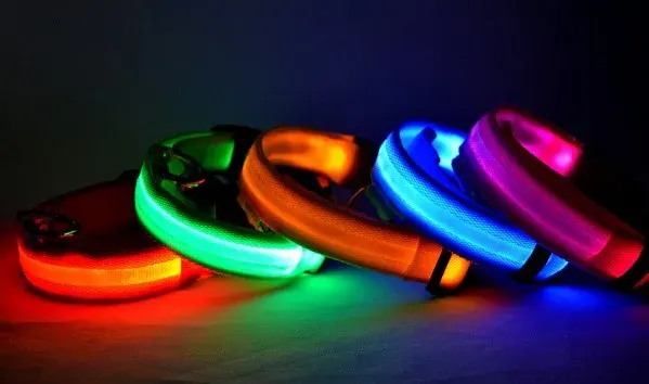 Reflektierendes LED-Hundehalsband, multifunktional 2