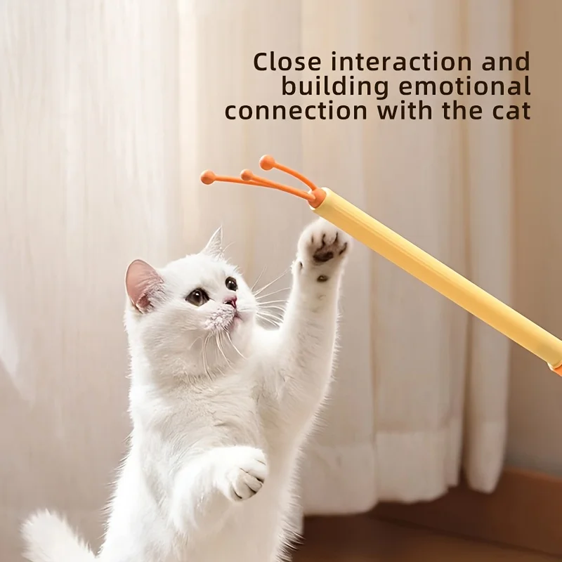 Katzen-Kratzstab-Spielzeug 4