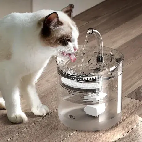 Leiser Katzen-Trinkbrunnen 2 Liter Automatik