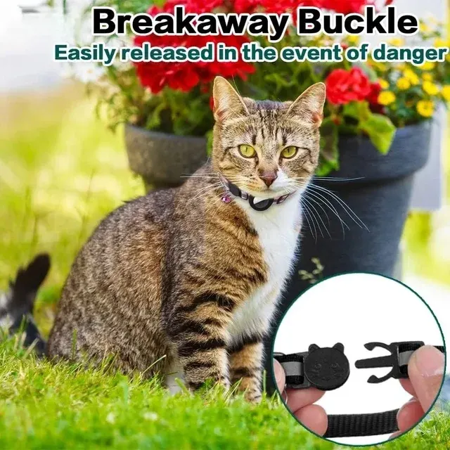 Katzenhalsband mit AirTag-Halter 3
