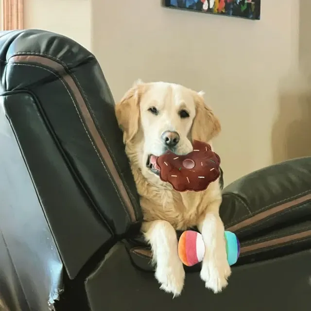 Plüsch-Hundespielzeug-Set 4
