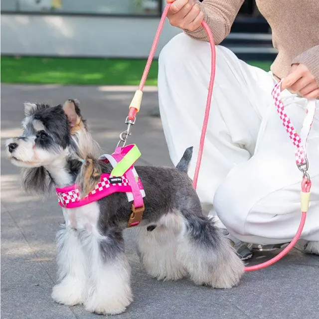 Hundegeschirr mit Leine 4