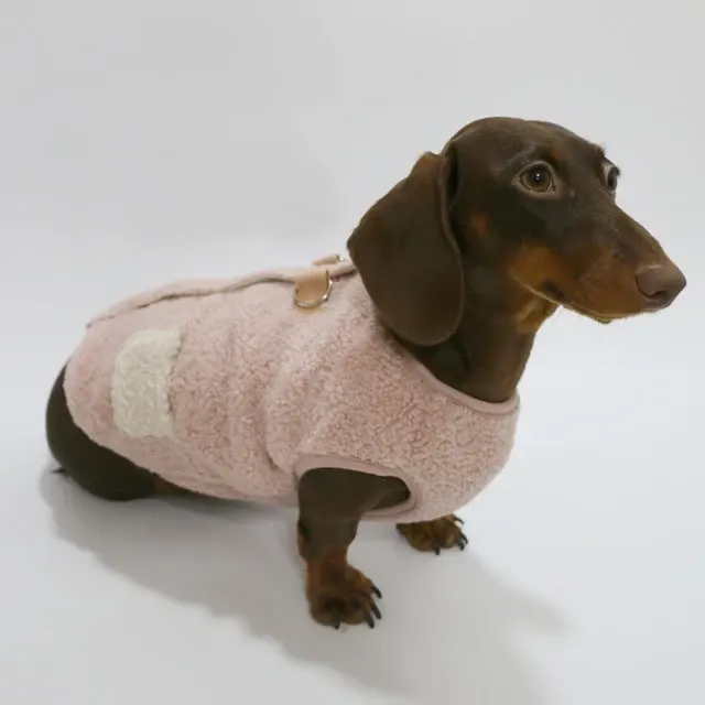 Hunde-Sweatshirt 2
