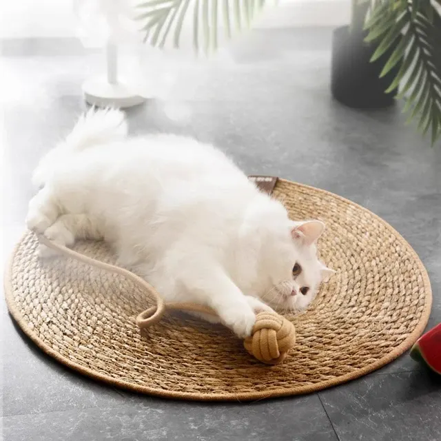 Katzenkratzbrett 2