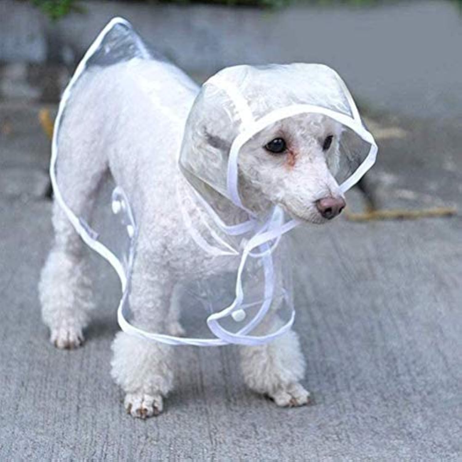 Hunde-Regenmantel