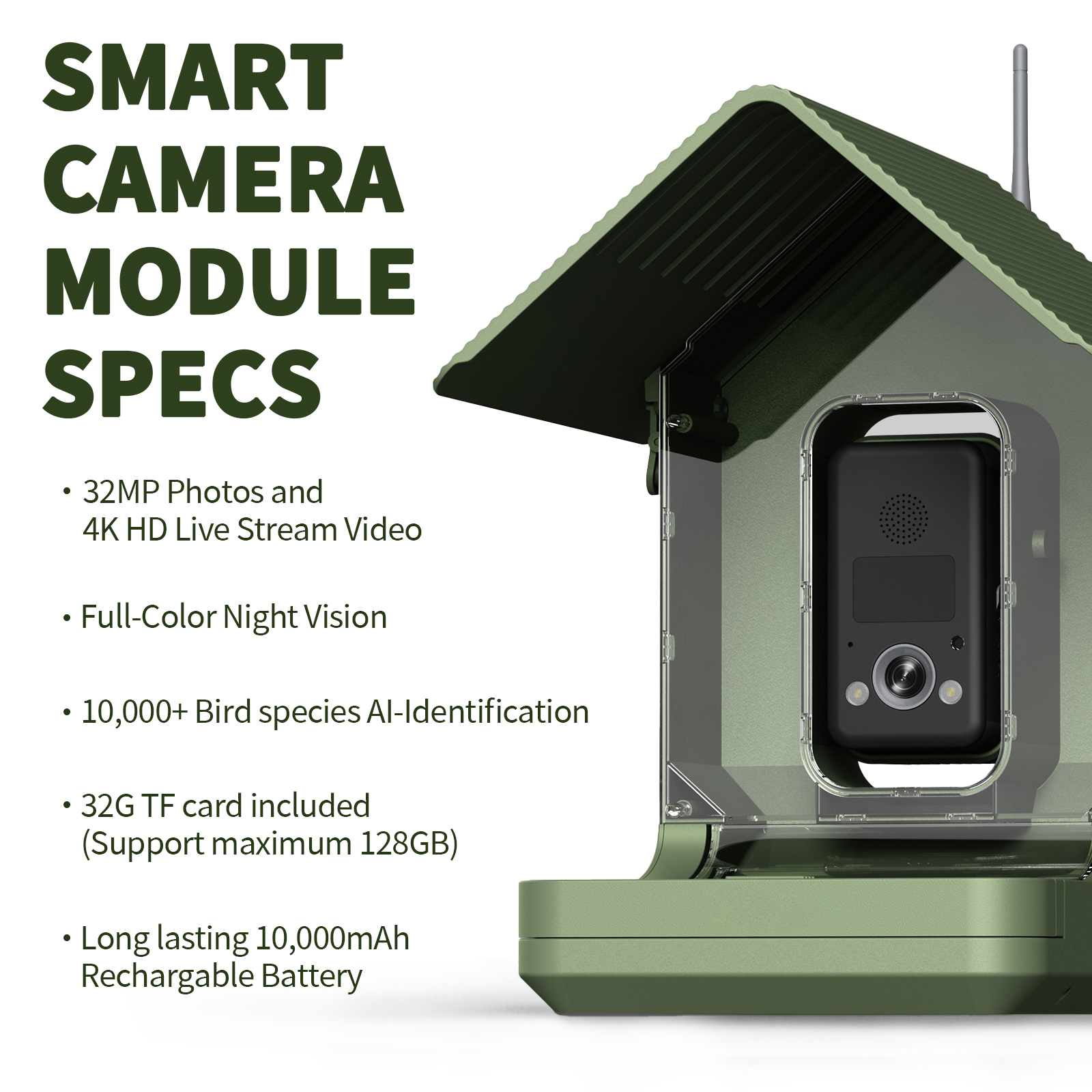 Smart Vogelfutterhaus mit Kamera 3
