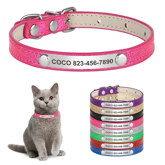 Personalisiertes Katzenhalsband 2