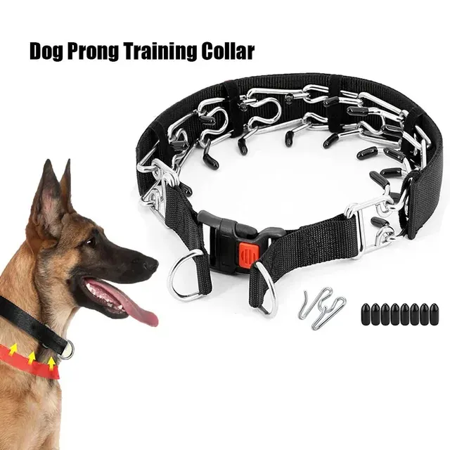 Verstellbares Edelstahl-Prickelhalsband für Hunde 2