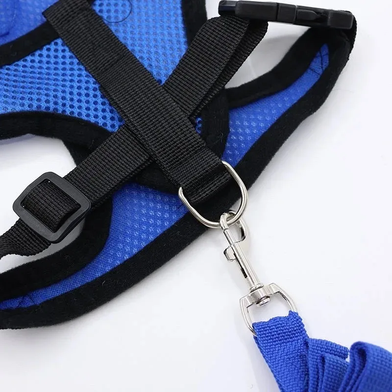 Verstellbares Mesh-Hundegeschirr mit Leine 4