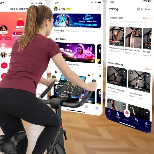 Heimtrainer 2