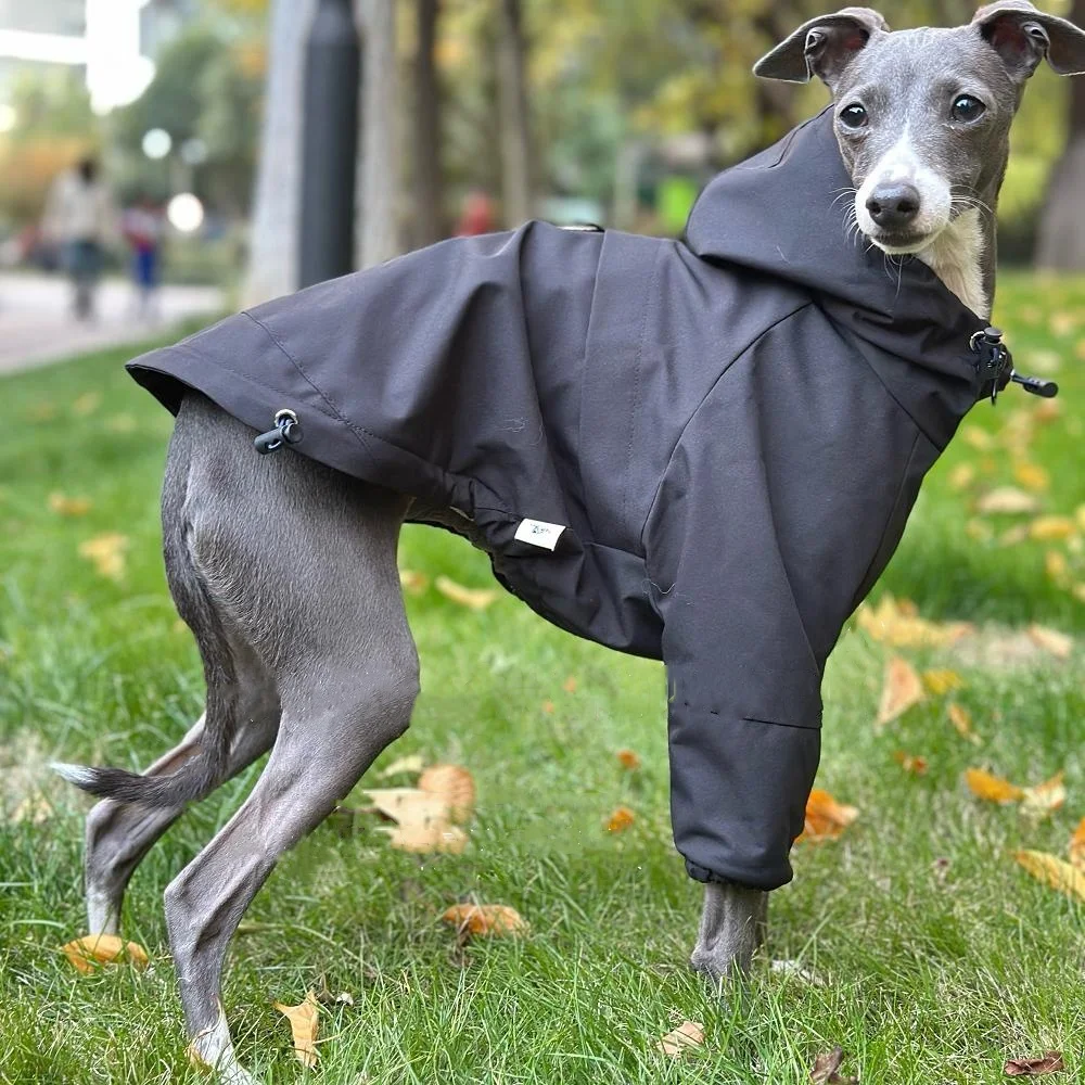 Hundewinterjacke