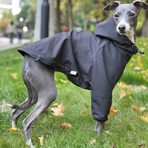 Hundewinterjacke