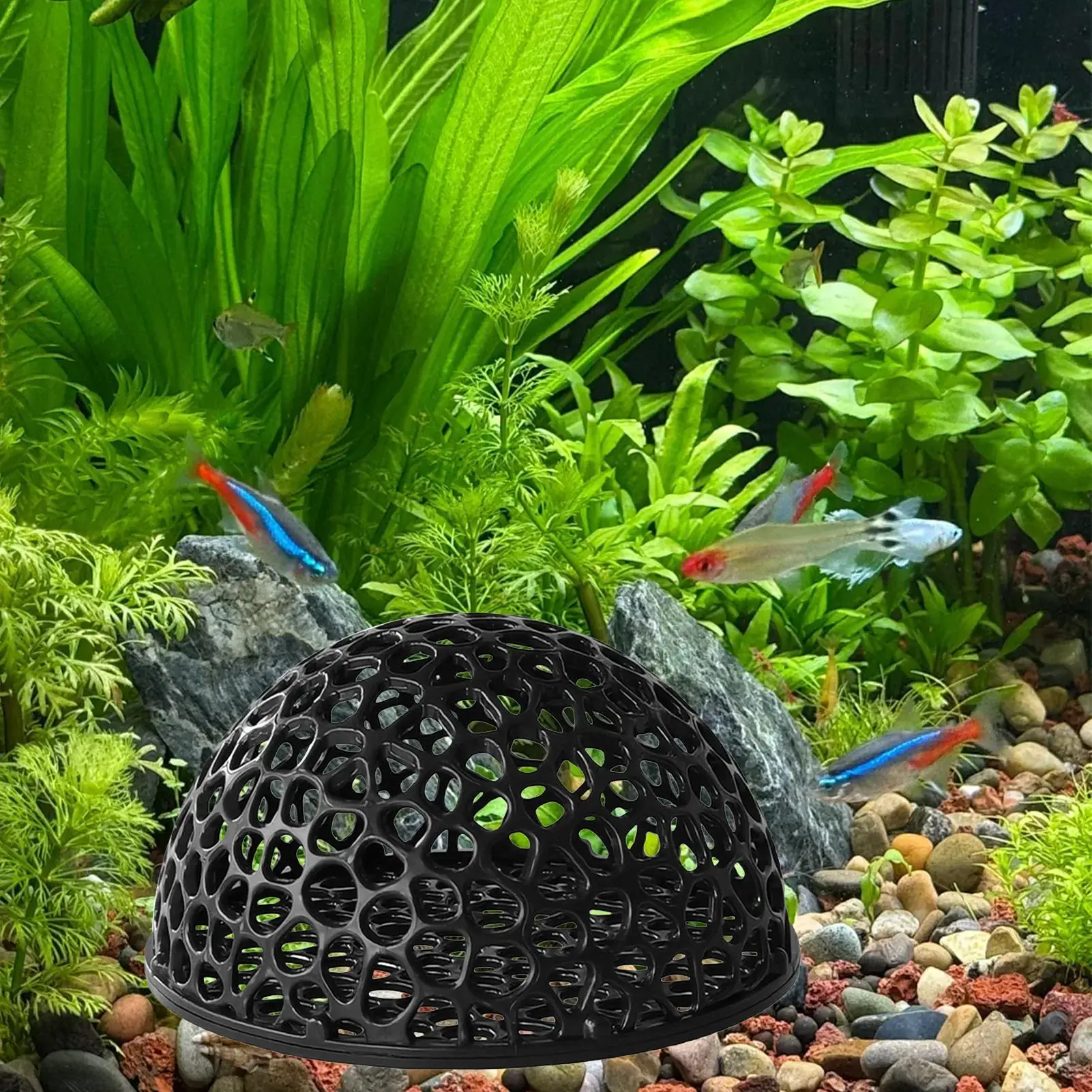 Garnelen Versteckhöhle für Aquarium 4