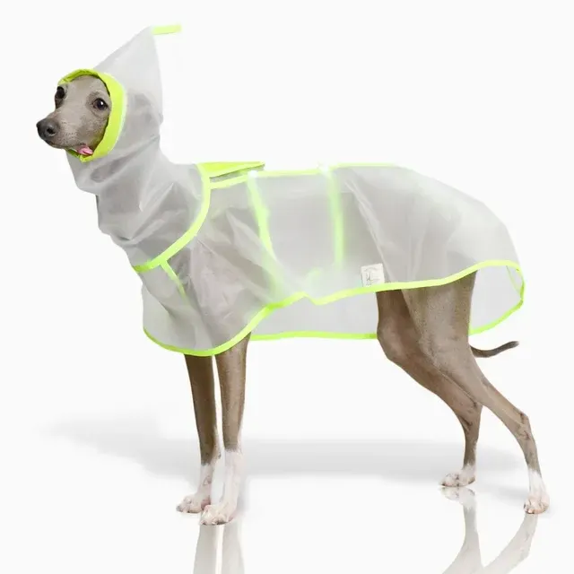 Hunde-Regenmantel 2