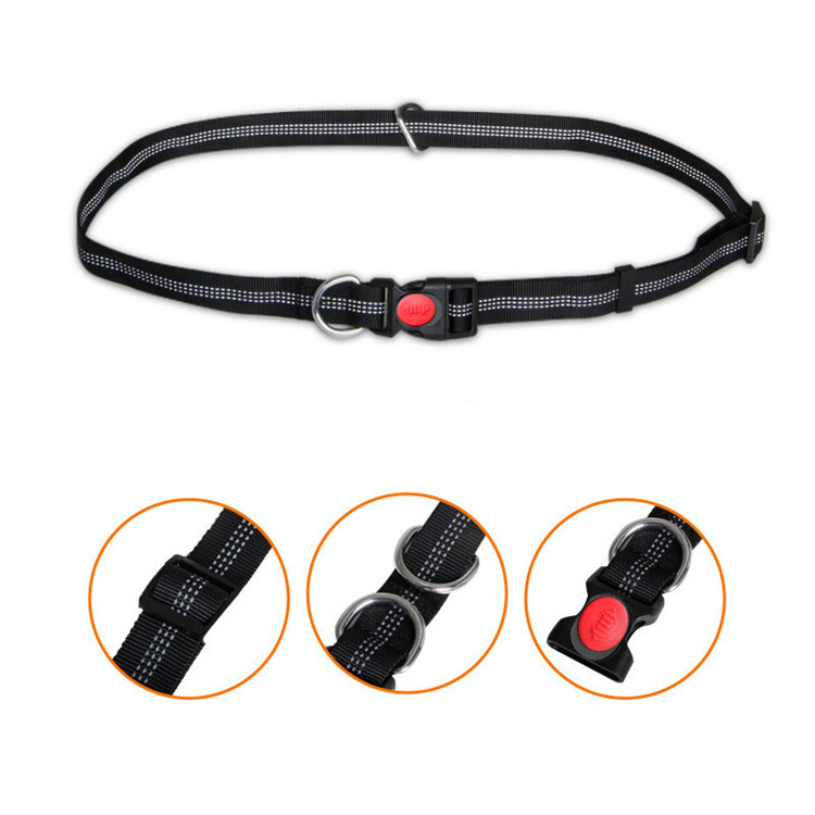 Rollleine für Hunde 3