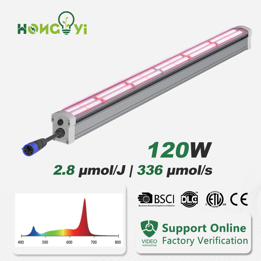 120W Unterbau LED Pflanzenlampe IP65 Aluminium 3
