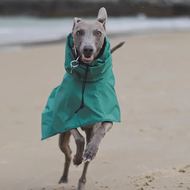 Hunde-Regenmantel 2
