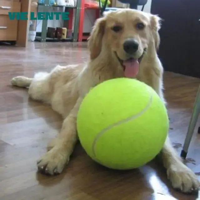 Riesen-Hundeball 2