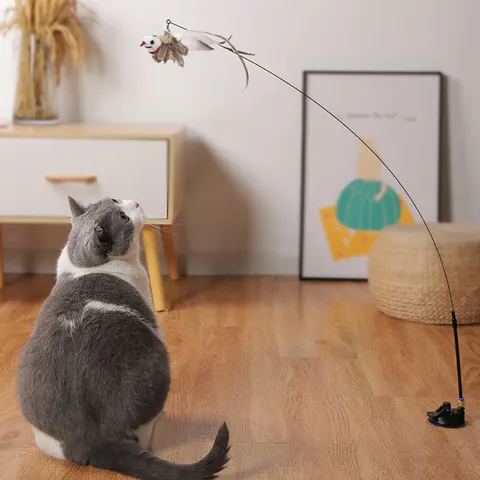 Katzen-Federangel