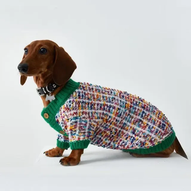 Hundepullover 1
