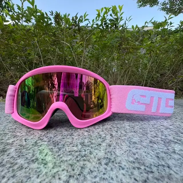 Skibrille 4