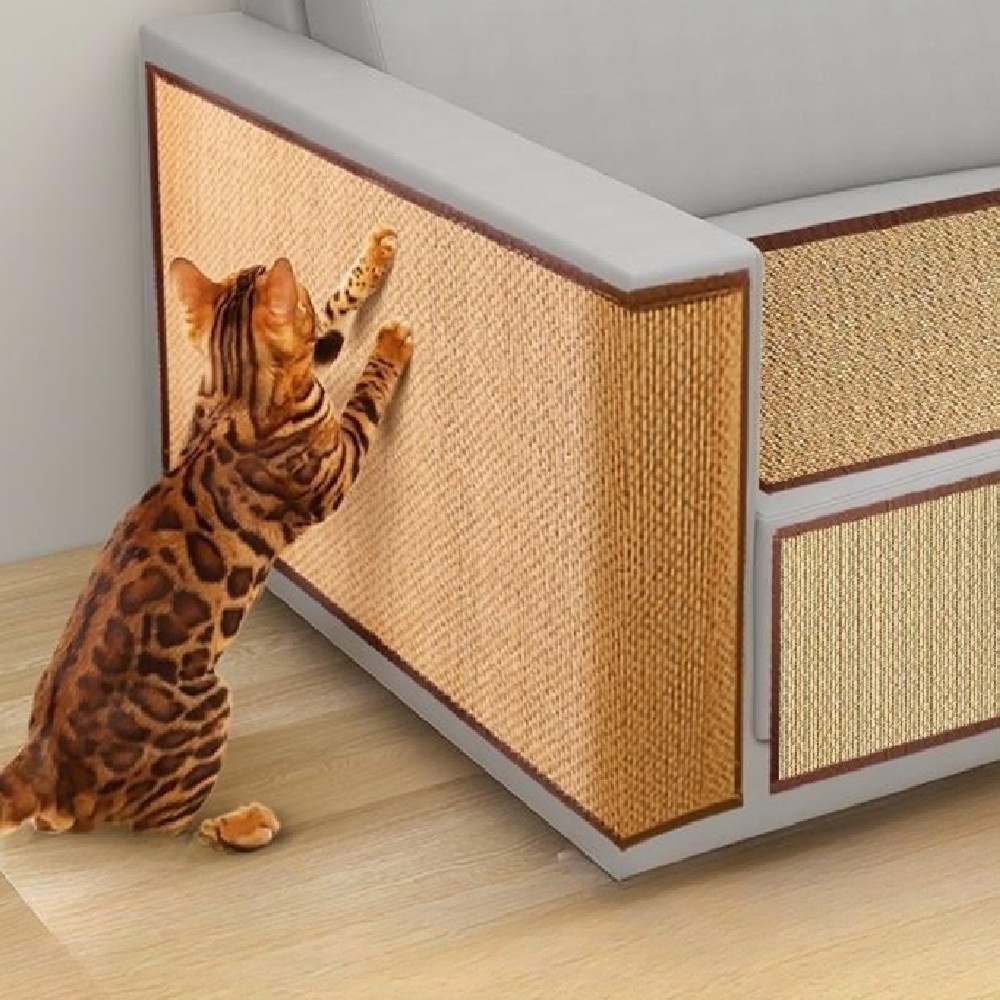 Katzen-Kratzschutz