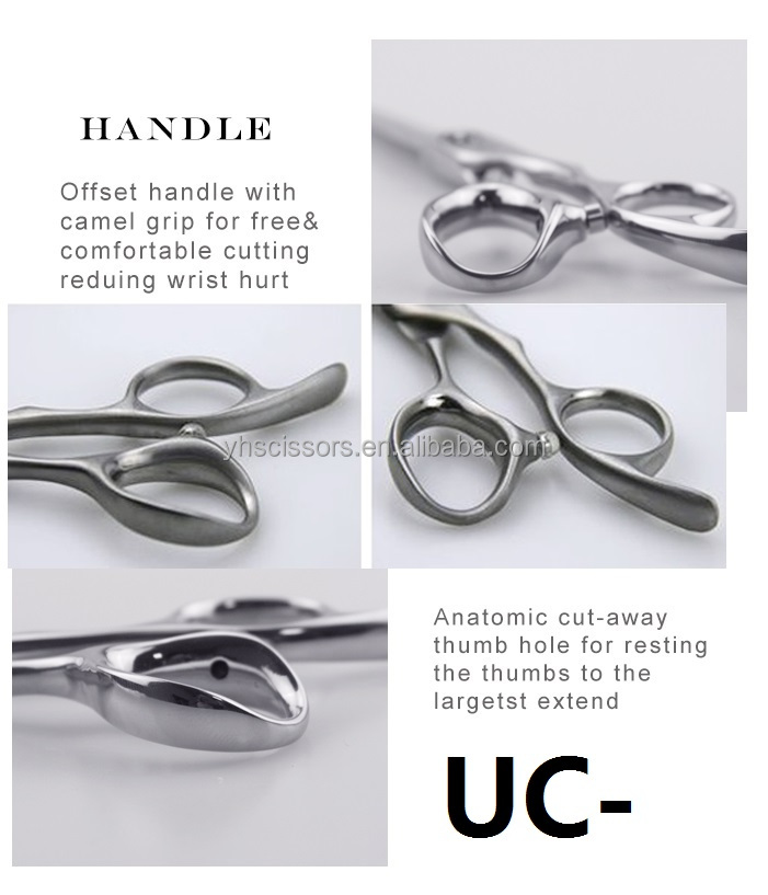 Breite Profi Hundeschere 8 Zoll VG10 Edelstahl 3