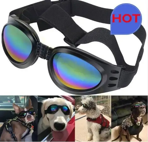 Haustier-Sonnenbrille 3