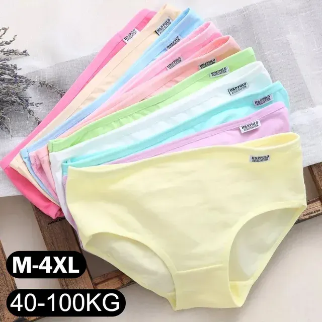 Plus-Size-Slips mit hoher Taille 2