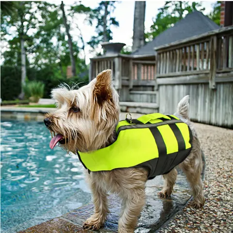 Hunde Schwimmweste