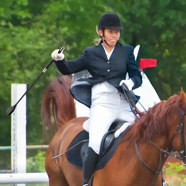 Reitgerte 4