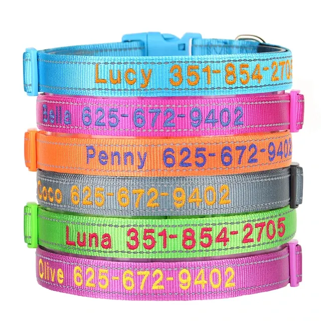 Hundehalsband bestickt 2