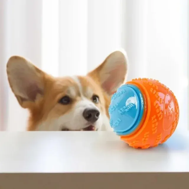 Hundekauball 2